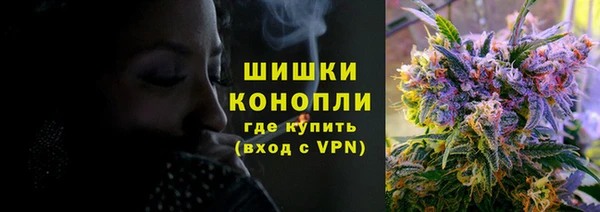 индика Балахна