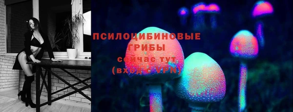 индика Балахна
