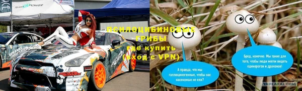 индика Балахна