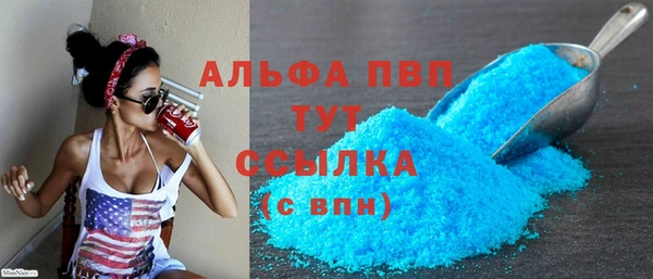 индика Балахна