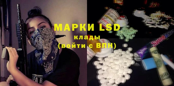 индика Балахна