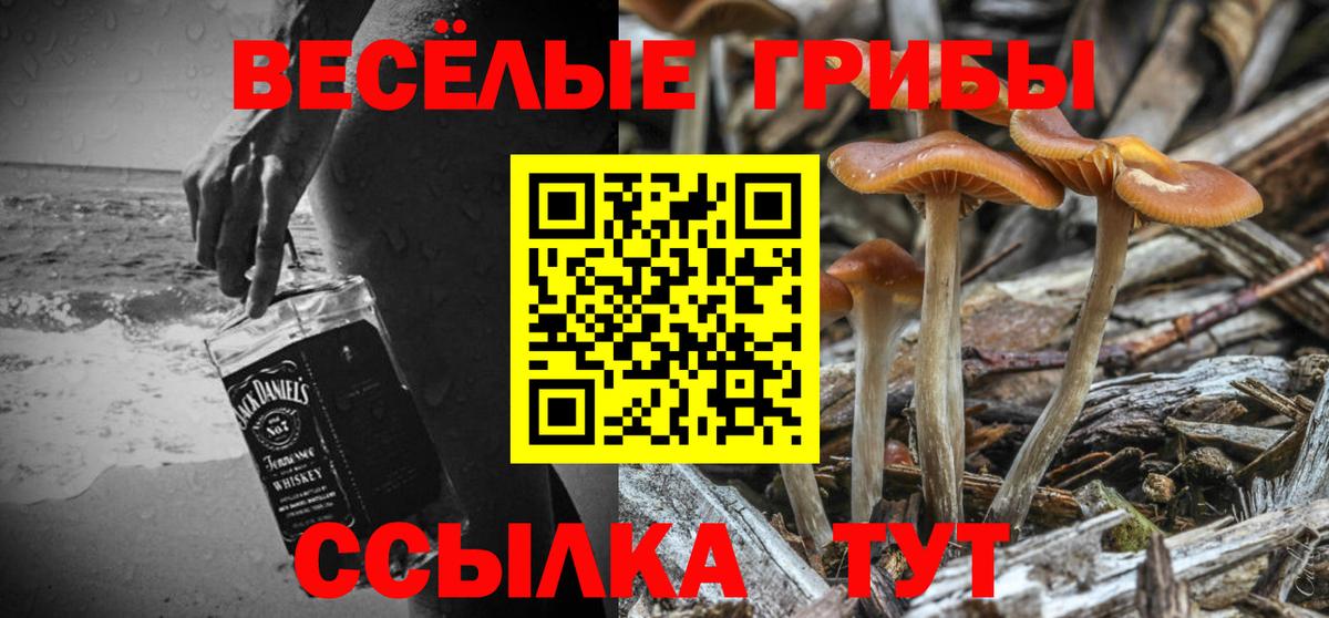 Псилоцибиновые грибы мицелий Гулькевичи
