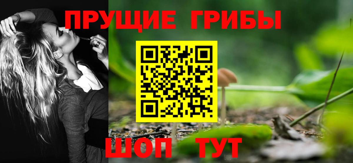 Галлюциногенные грибы мицелий  Галлюциногенные грибы Magic Shrooms  Вход с VPN  Гулькевичи 